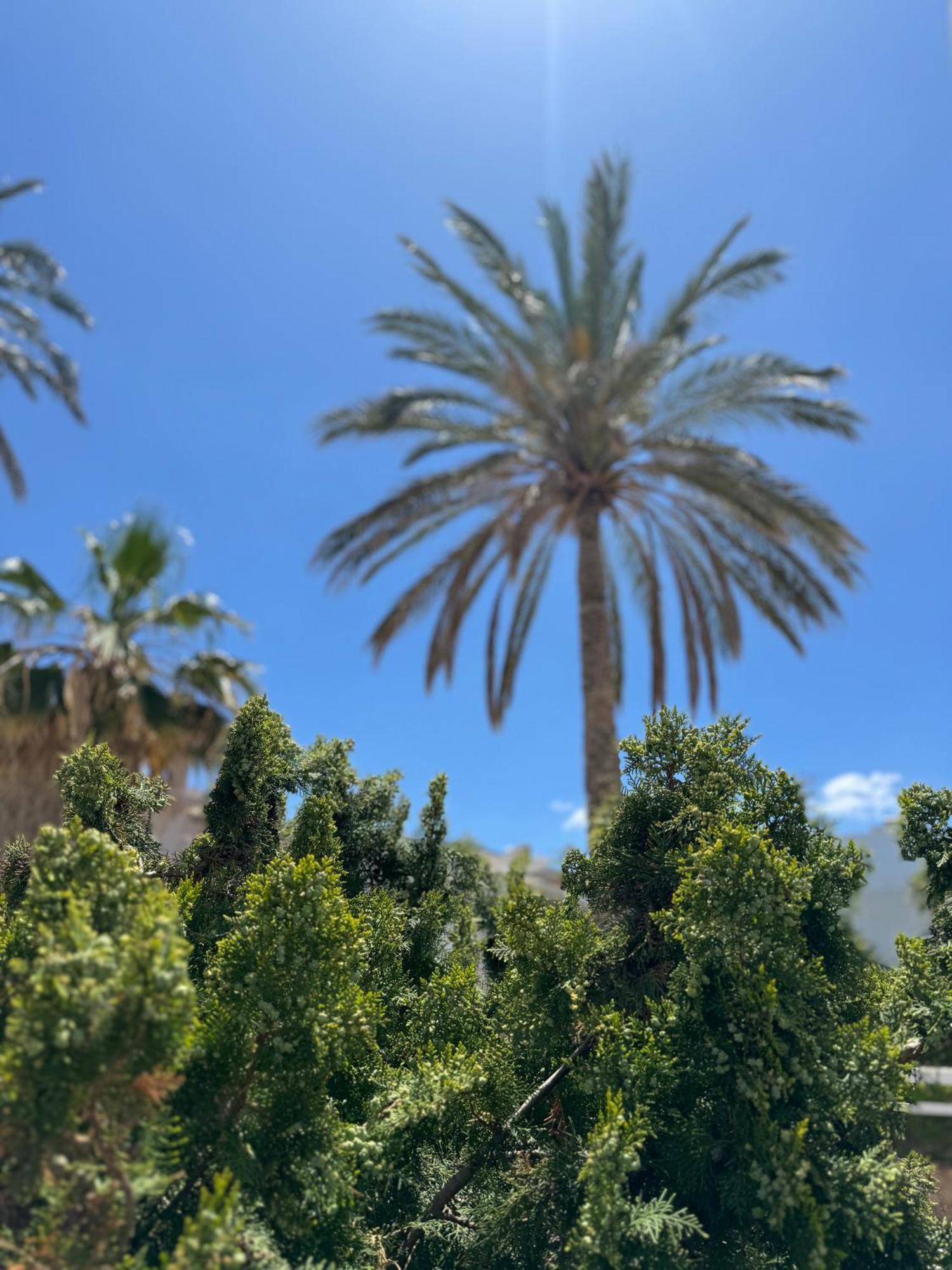 Simple Hotel Hersonissos Blue ภายนอก รูปภาพ